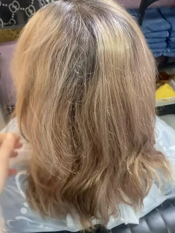A client’s hair before coloring: dull, grayish blonde